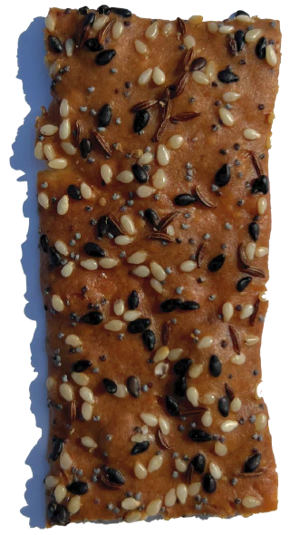 Everything Sourdough Cracker